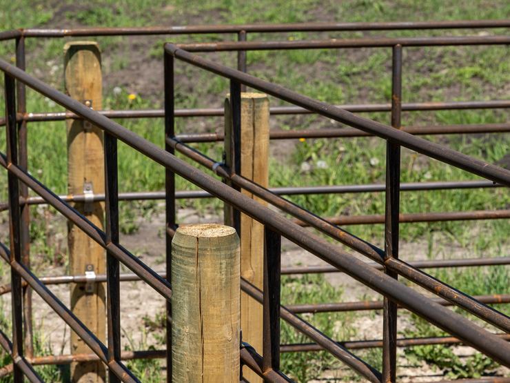Ranchcore panel fence installed at a 45-degree angle across a pasture