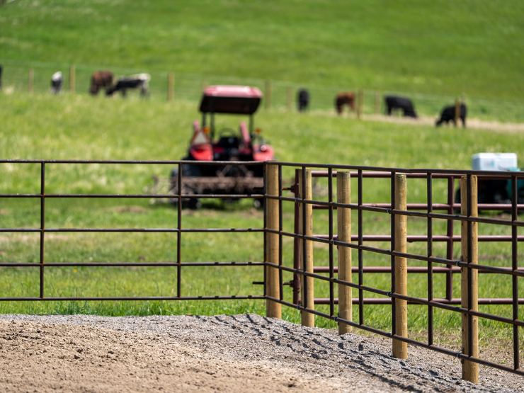 Tractor and cattle beside a Ranchcore panel fence on a working ranch