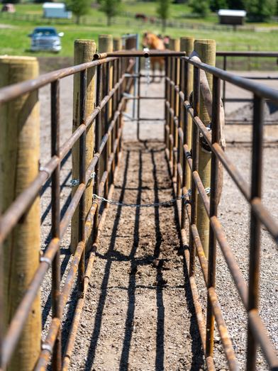 Ranchcore panel alley and chute rows on a working installation